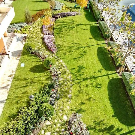 Oxygen * سفيتي فلاس