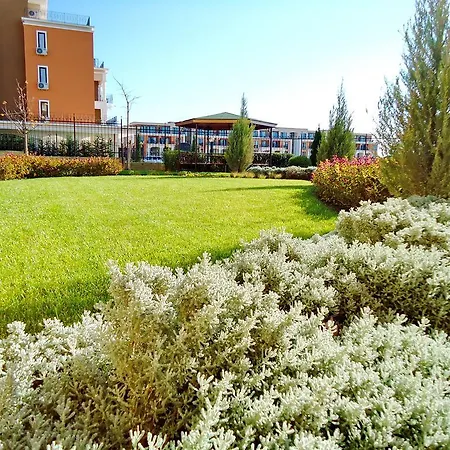 Oxygen Sveti Vlas
